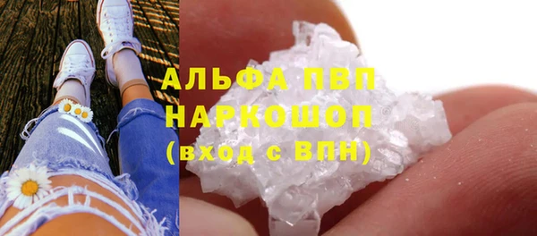 прущие грибы Баксан