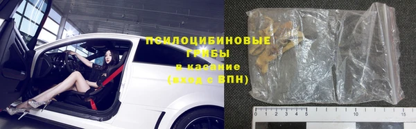прущие грибы Баксан