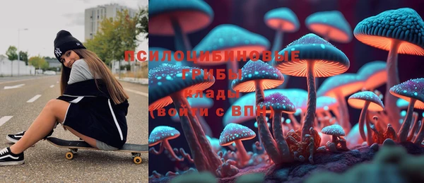 прущие грибы Баксан