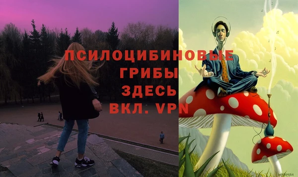 прущие грибы Баксан