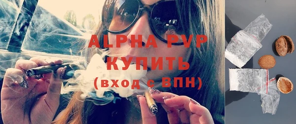 прущие грибы Баксан