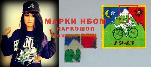 прущие грибы Баксан