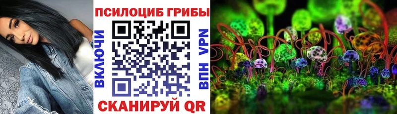 Галлюциногенные грибы MAGIC MUSHROOMS  Елизово 