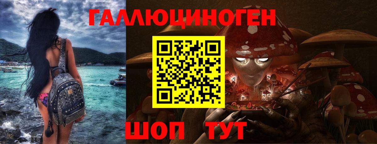 купить наркотики сайты  Галлюциногенные грибы Cubensis  Елизово  Галлюциногенные грибы мицелий 