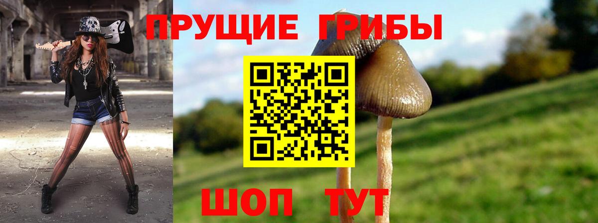 Галлюциногенные грибы Psilocybine cubensis  Вход с VPN  Елизово 