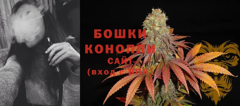 Конопля White Widow  Елизово 